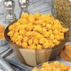 Cheesy Cheddar